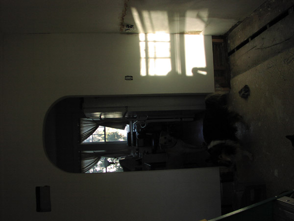 P1010005